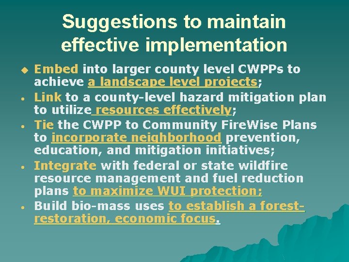 Suggestions to maintain effective implementation u Embed into larger county level CWPPs to achieve