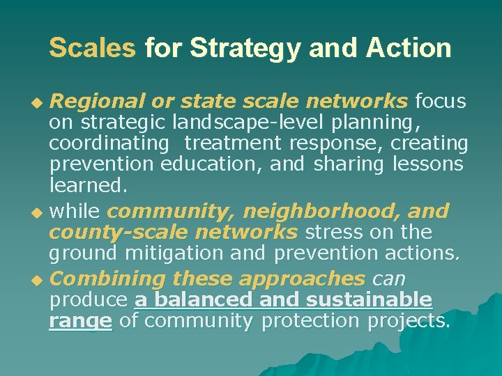 Scales for Strategy and Action Regional or state scale networks focus on strategic landscape-level