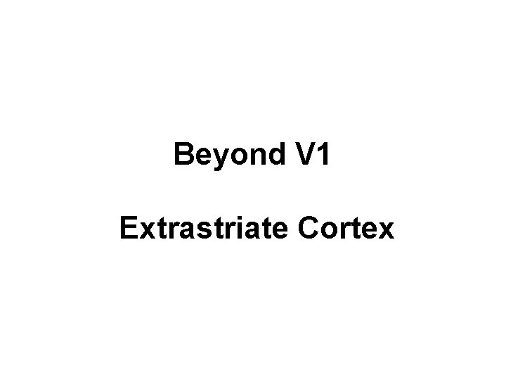 Beyond V 1 Extrastriate Cortex 