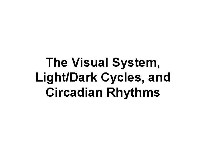 The Visual System, Light/Dark Cycles, and Circadian Rhythms 