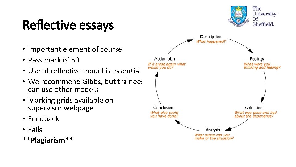 Reflective essays Important element of course Pass mark of 50 Use of reflective model