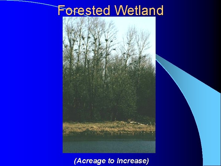 Forested Wetland (Acreage to Increase) Forested Wetland (Acreage to Increase)