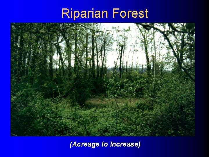 Riparian Forest (Acreage to Increase) Riparian Forest (Acreage to Increase)