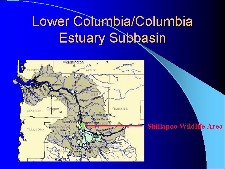 Lower Columbia/Columbia Estuary Subbasin Shillapoo Wildlife Area Lower Columbia/Columbia Estuary Subbasin Shillapoo Wildlife Area