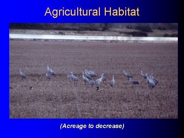 Agricultural Habitat (Acreage to decrease) Agricultural Habitat (Acreage to decrease)