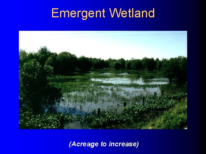 Emergent Wetland (Acreage to increase) Emergent Wetland (Acreage to increase)