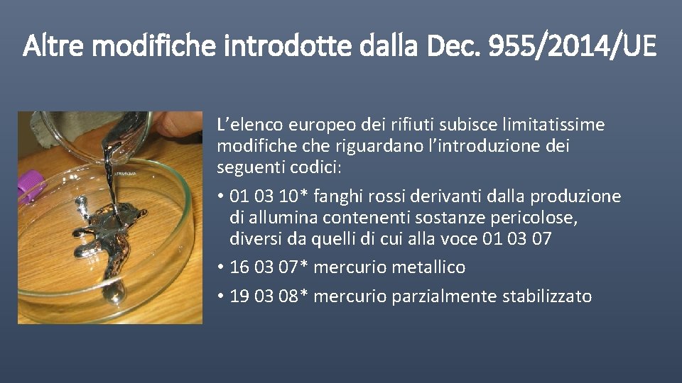 Altre modifiche introdotte dalla Dec. 955/2014/UE L’elenco europeo dei rifiuti subisce limitatissime modifiche riguardano