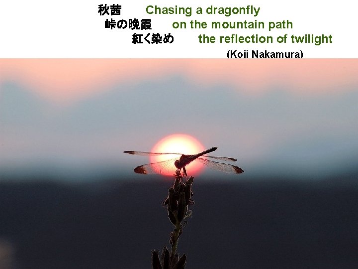 秋茜　　　Chasing a dragonfly 　　　　　　　峠の晩霞 on the mountain path　　　 　　　紅く染め　　　the reflection of twilight 　　　　　 (Koji