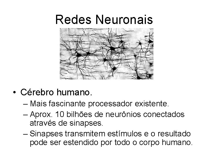 Redes Neuronais • Cérebro humano. – Mais fascinante processador existente. – Aprox. 10 bilhões