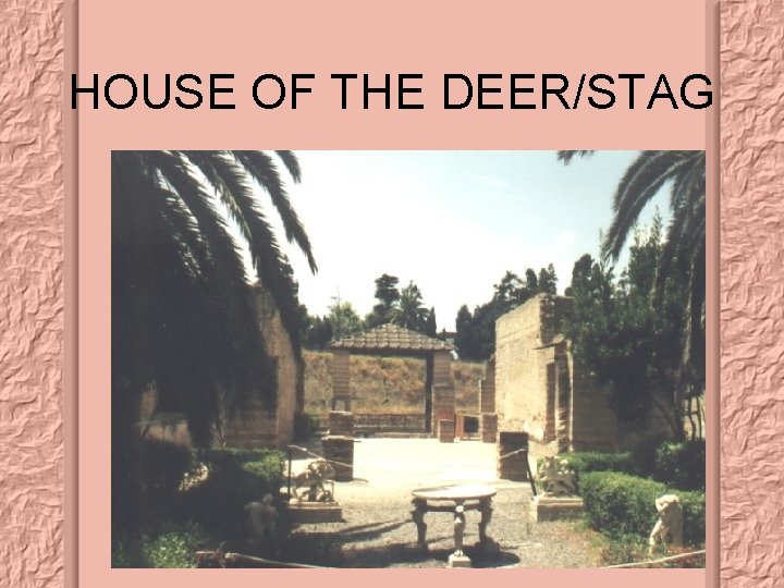 HOUSE OF THE DEER/STAG 