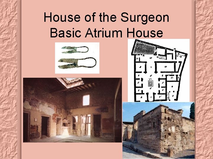 House of the Surgeon Basic Atrium House 