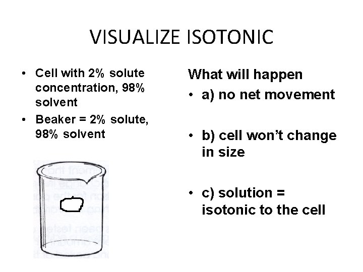 VISUALIZE ISOTONIC • Cell with 2% solute concentration, 98% solvent • Beaker = 2%