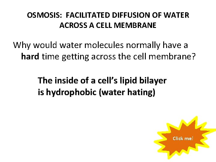 OSMOSIS: FACILITATED DIFFUSION OF WATER ACROSS A CELL MEMBRANE Why would water molecules normally