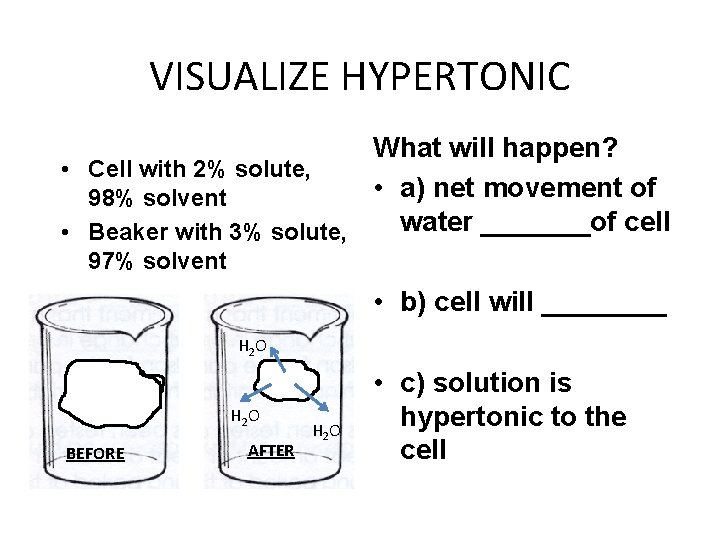 VISUALIZE HYPERTONIC What will happen? • Cell with 2% solute, • a) net movement