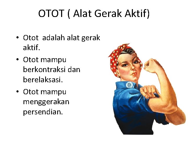 OTOT ( Alat Gerak Aktif) • Otot adalah alat gerak aktif. • Otot mampu