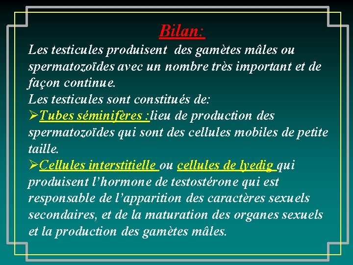 Bilan: Les testicules produisent des gamètes mâles ou spermatozoïdes avec un nombre très important