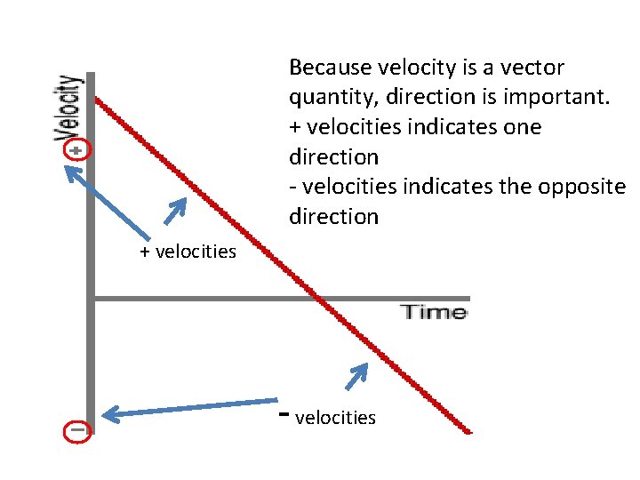 Because velocity is a vector quantity, direction is important. + velocities indicates one direction