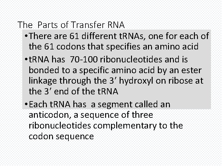 The Parts of Transfer RNA • There are 61 different t. RNAs, one for