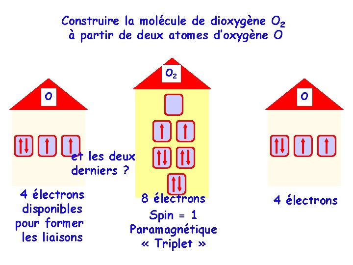 Construire la molécule de dioxygène O 2 à partir de deux atomes d’oxygène O