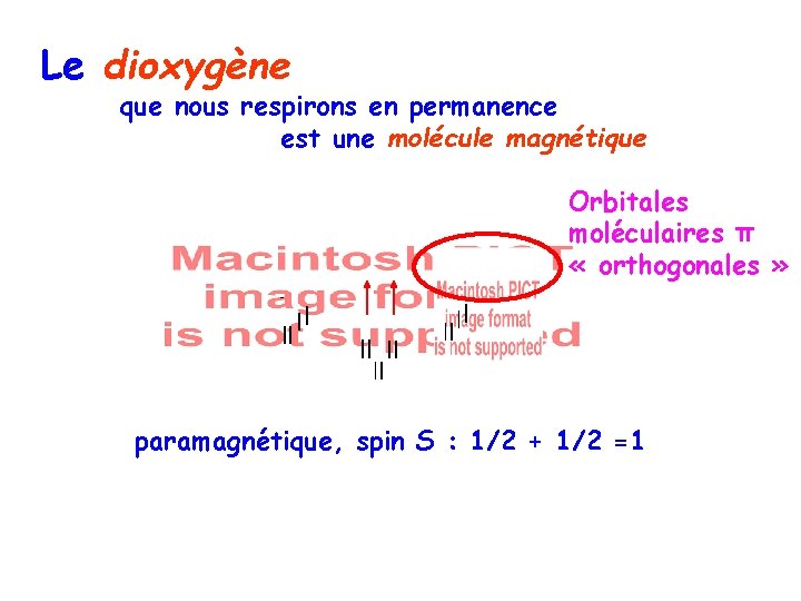 Le dioxygène que nous respirons en permanence est une molécule magnétique Orbitales moléculaires π