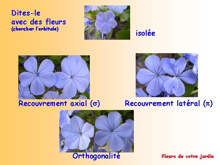 Dites-le avec des fleurs (cher l’orbitale) isolée Recouvrement axial ( ) Orthogonalité Recouvrement latéral