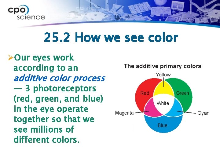 25. 2 How we see color ØOur eyes work according to an additive color