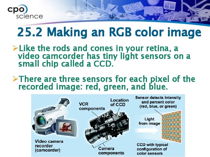 25. 2 Making an RGB color image ØLike the rods and cones in your