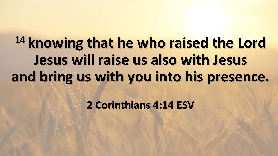 14 knowing that he who raised the Lord Jesus will raise us also with