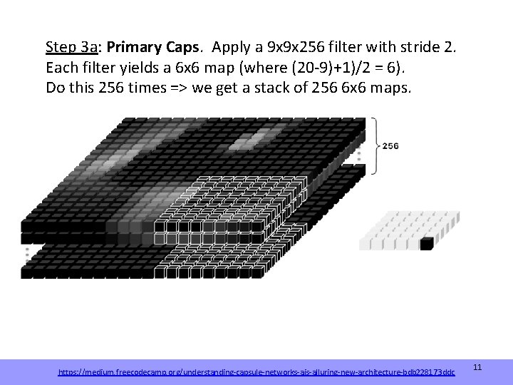 Step 3 a: Primary Caps. Apply a 9 x 9 x 256 filter with