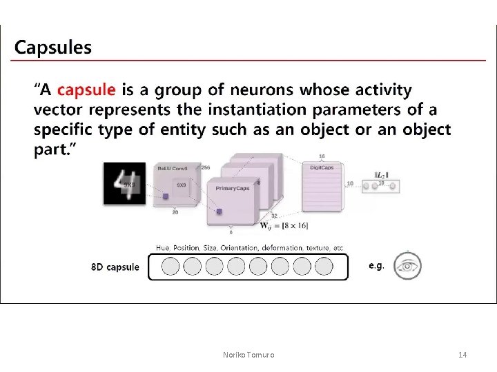 Noriko Tomuro 14 Noriko Tomuro 14