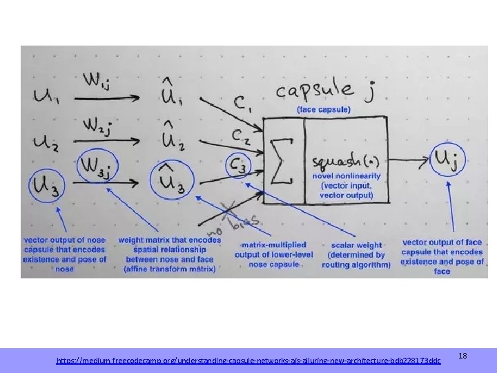 https: //medium. freecodecamp. org/understanding-capsule-networks-ais-alluring-new-architecture-bdb 228173 ddc 18 