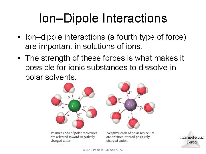 Ion–Dipole Interactions • Ion–dipole interactions (a fourth type of force) are important in solutions Ion–Dipole Interactions • Ion–dipole interactions (a fourth type of force) are important in solutions