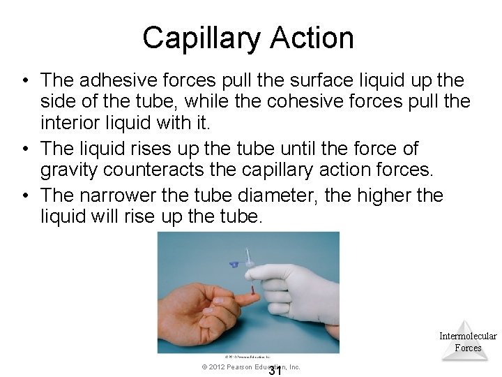 Capillary Action • The adhesive forces pull the surface liquid up the side of Capillary Action • The adhesive forces pull the surface liquid up the side of