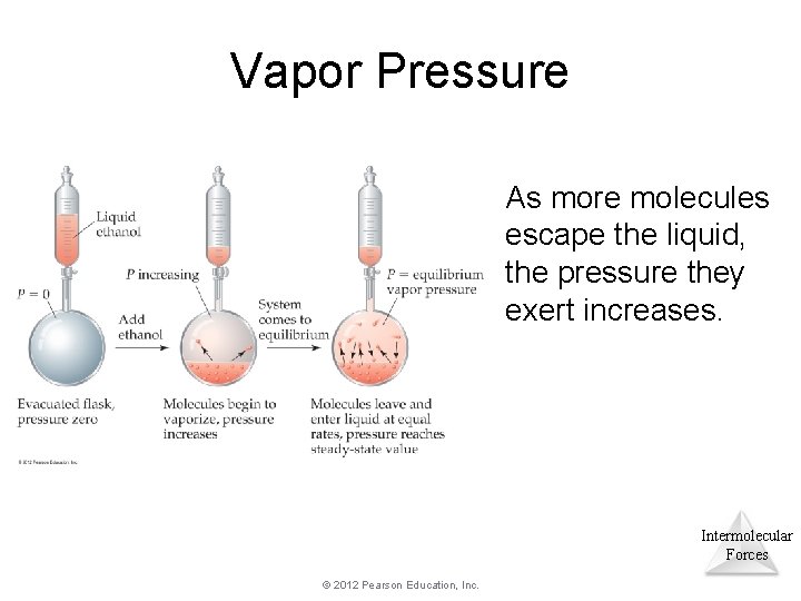 Vapor Pressure As more molecules escape the liquid, the pressure they exert increases. Intermolecular Vapor Pressure As more molecules escape the liquid, the pressure they exert increases. Intermolecular