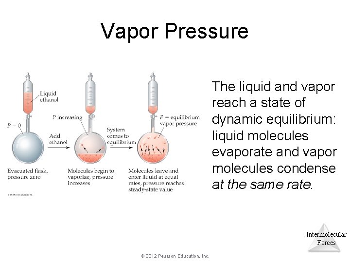 Vapor Pressure The liquid and vapor reach a state of dynamic equilibrium: liquid molecules Vapor Pressure The liquid and vapor reach a state of dynamic equilibrium: liquid molecules