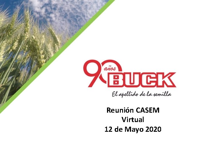 Reunión CASEM Virtual 12 de Mayo 2020 