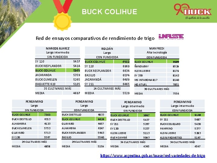 BUCK COLIHUE Red de ensayos comparativos de rendimiento de trigo MARCOS JUAREZ Largo intermedio