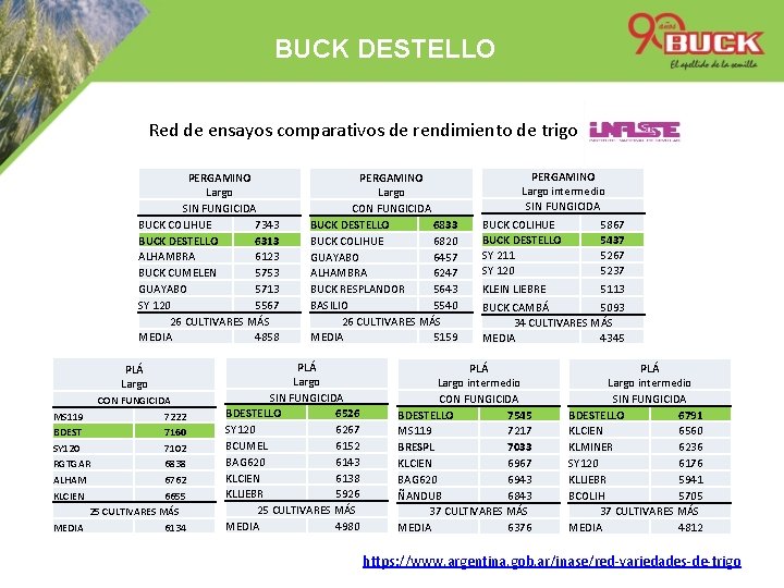 BUCK DESTELLO Red de ensayos comparativos de rendimiento de trigo PERGAMINO Largo SIN FUNGICIDA