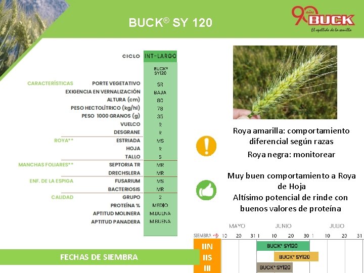 BUCK® SY 120 Roya amarilla: comportamiento diferencial según razas Roya negra: monitorear TRIGO &
