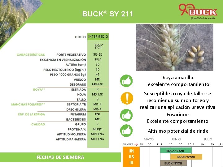 BUCK® SY 211 Roya amarilla: excelente comportamiento Susceptible a roya de tallo: se recomienda
