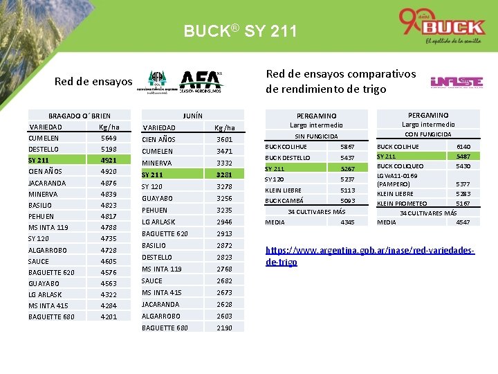 BUCK® SY 211 Red de ensayos comparativos de rendimiento de trigo Red de ensayos