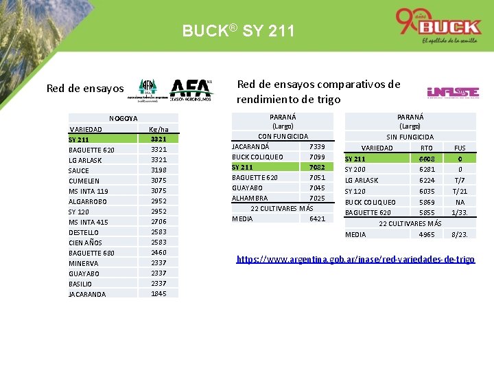 BUCK® SY 211 Red de ensayos comparativos de rendimiento de trigo Red de ensayos