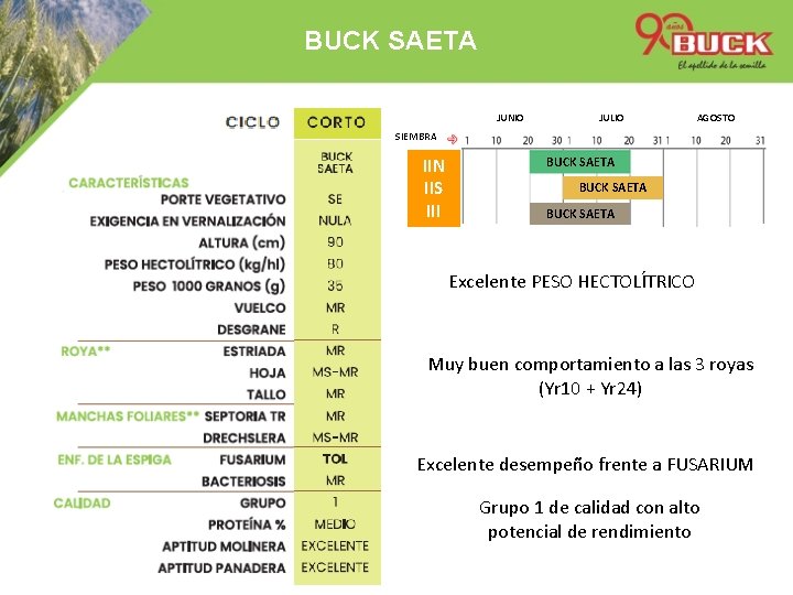 BUCK SAETA JUNIO JULIO AGOSTO SIEMBRA IIN IIS III BUCK SAETA Excelente PESO HECTOLÍTRICO