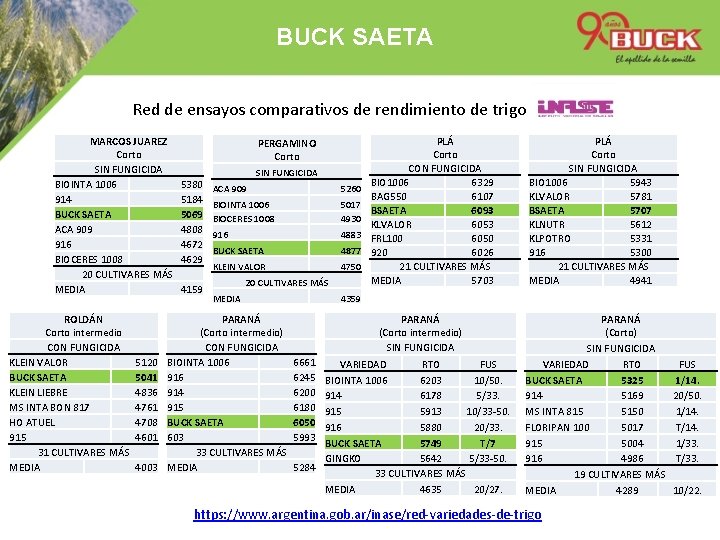 BUCK SAETA Red de ensayos comparativos de rendimiento de trigo MARCOS JUAREZ Corto SIN