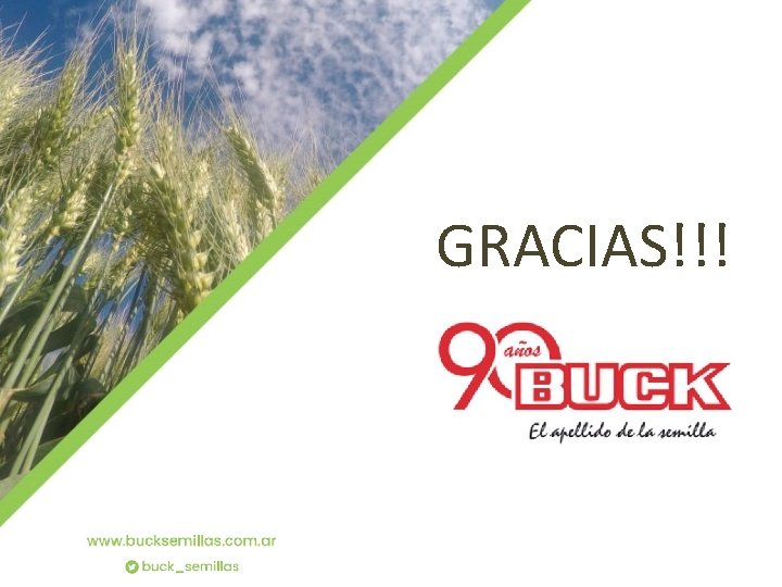 GRACIAS!!! 