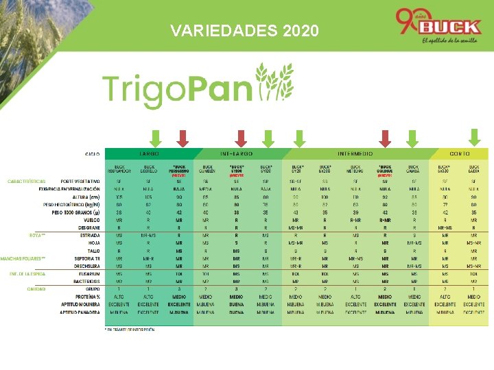 VARIEDADES 2020 TRIGO & 