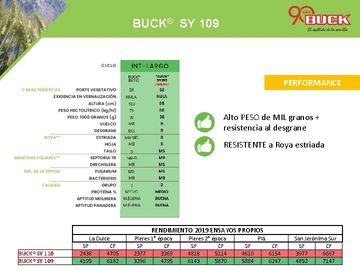 BUCK® SY 109 PERFORMANCE Alto PESO de MIL granos + resistencia al desgrane RESISTENTE