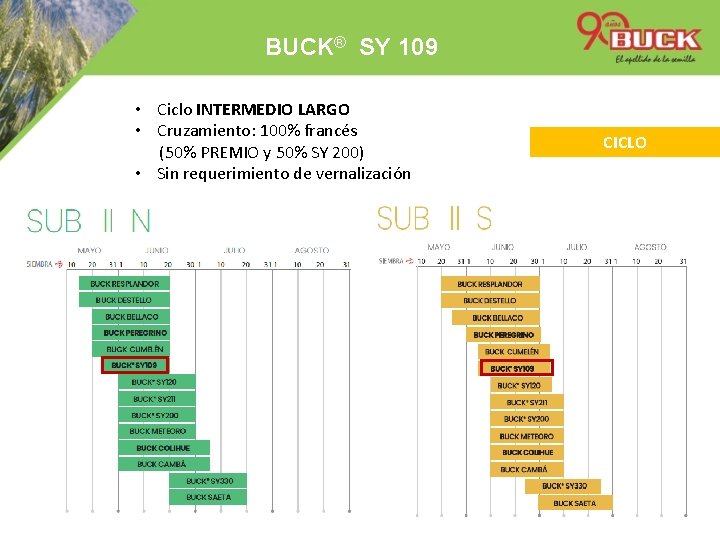 BUCK® SY 109 • Ciclo INTERMEDIO LARGO • Cruzamiento: 100% francés (50% PREMIO y