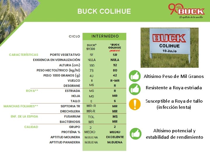 BUCK COLIHUE Altísimo Peso de Mil Granos Resistente a Roya estriada Susceptible a Roya