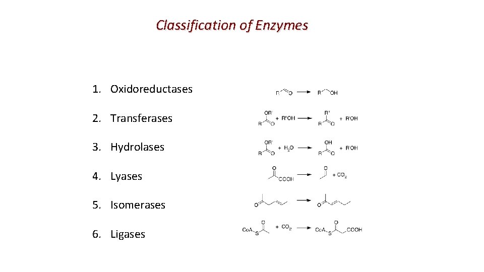 Classification of Enzymes 1. Oxidoreductases 2. Transferases 3. Hydrolases 4. Lyases 5. Isomerases 6.